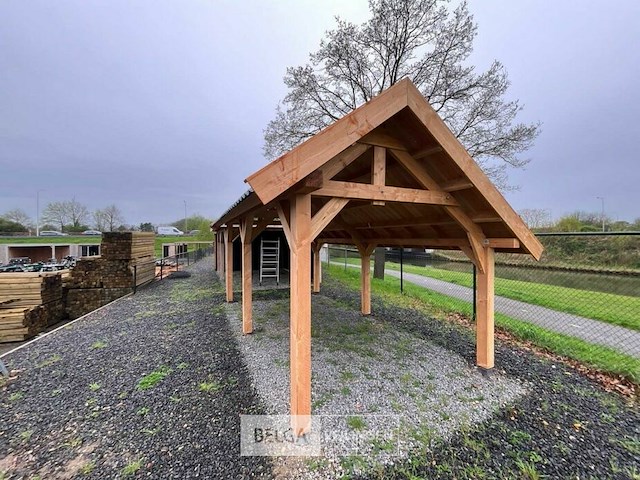 Kapschuur douglas 1550x460x325cm bxdxh in cm - afbeelding 11 van  17