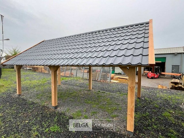 Kapschuur douglas 1550x460x325cm bxdxh in cm - afbeelding 13 van  17