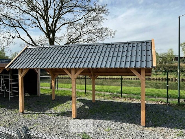 Kapschuur douglas 1550x460x325cm bxdxh in cm - afbeelding 14 van  17