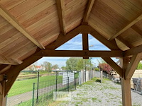 Kapschuur douglas 1550x460x325cm bxdxh in cm - afbeelding 15 van  17