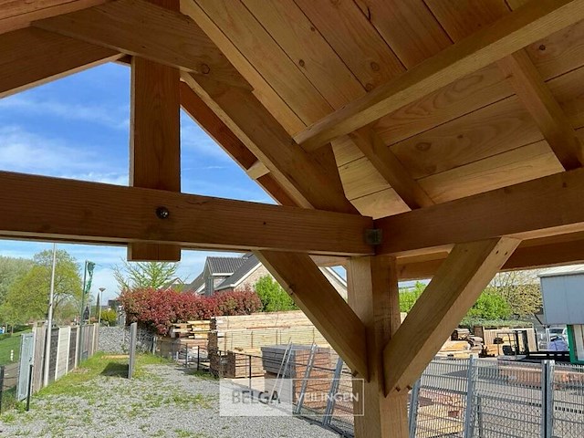 Kapschuur douglas 1550x460x325cm bxdxh in cm - afbeelding 16 van  17