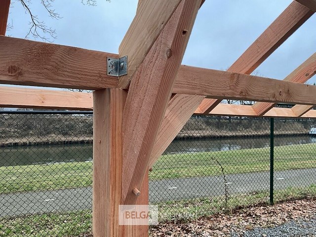 Kapschuur douglas 560x360x325cm bxdxh in cm - afbeelding 3 van  14