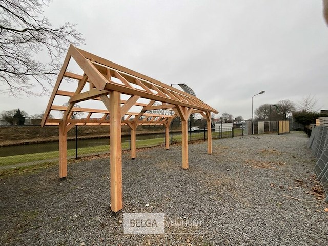 Kapschuur douglas 560x360x325cm bxdxh in cm - afbeelding 9 van  14