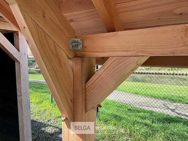 Kapschuur douglas 779x360x325cm bxdxh in cm - afbeelding 2 van  17