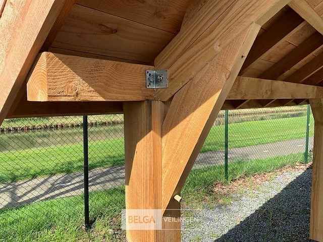 Kapschuur douglas 779x360x325cm bxdxh in cm - afbeelding 3 van  17