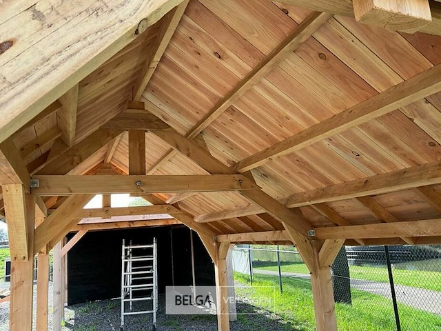 Kapschuur douglas 779x360x325cm bxdxh in cm - afbeelding 5 van  17