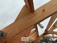 Kapschuur douglas 810x460x325cm bxdxh in cm - afbeelding 4 van  14