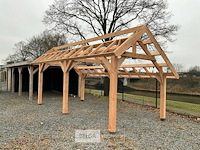 Kapschuur douglas 810x460x325cm bxdxh in cm - afbeelding 8 van  14