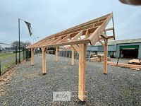 Kapschuur douglas 810x460x325cm bxdxh in cm - afbeelding 10 van  14