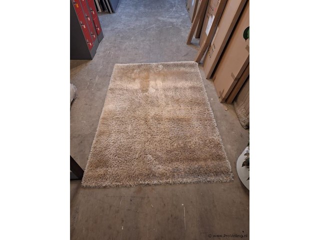 Karis amy de versailles vloerkleed - lengte ca. 160 cm; breedte ca. 230 cm - afbeelding 1 van  3