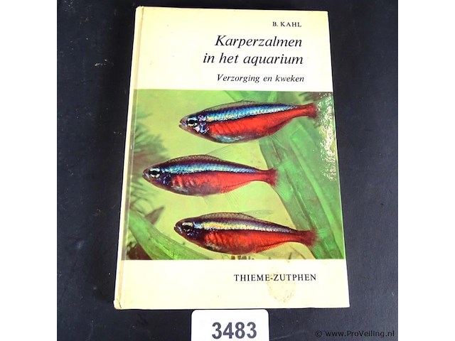 Karperzalmen in het aquarium - afbeelding 1 van  5