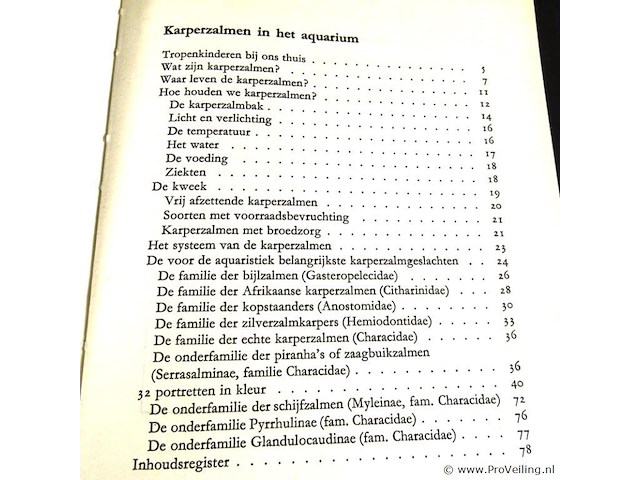 Karperzalmen in het aquarium - afbeelding 3 van  5