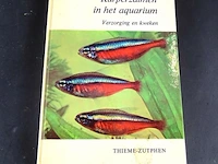 Karperzalmen in het aquarium