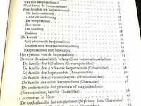 Karperzalmen in het aquarium - afbeelding 3 van  5