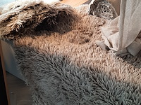 Karpet aventura, lucca, rond - afbeelding 3 van  7