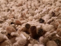 Karpet brink&campman, spring, moss - afbeelding 6 van  7