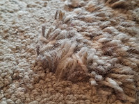 Karpet cs rugs, donegal - afbeelding 6 van  6
