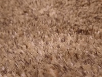 Karpet cs rugs, sauvage, geel - afbeelding 4 van  6