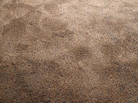 Karpet cs rugs, sauvage - afbeelding 3 van  6