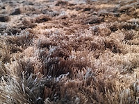 Karpet hg carpets, dix, luxury brown - afbeelding 4 van  5