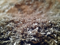 Karpet, hg carpets, dix, olive - afbeelding 5 van  5