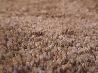 Karpet millenerpoort, milano - afbeelding 5 van  5