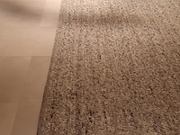 Karpet perletta, gravel - afbeelding 3 van  6