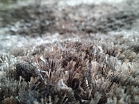 Karpet van besouw - afbeelding 5 van  6