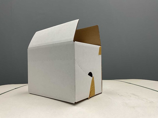 Kartonnen doos 245x160x170 mm (1500x) - afbeelding 1 van  5