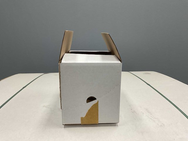 Kartonnen doos 245x160x170 mm (1500x) - afbeelding 2 van  4