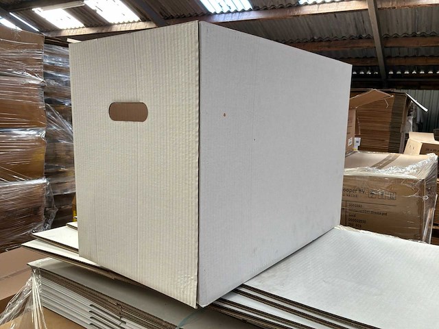 Kartonnen doos (379x) - afbeelding 1 van  3