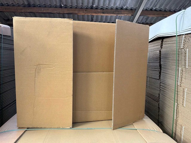 Kartonnen doos (750x) - afbeelding 2 van  3