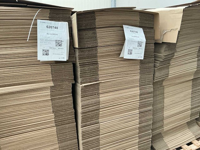 Kartonnen dozen (8000x) - afbeelding 13 van  15