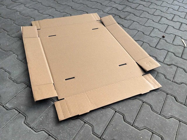 Kartonnen tray (500x) - afbeelding 1 van  3