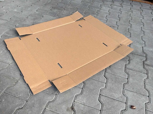 Kartonnen tray (500x) - afbeelding 1 van  2