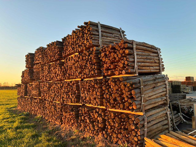 Kastanje houten tuinomheining palen (100x) - afbeelding 1 van  4