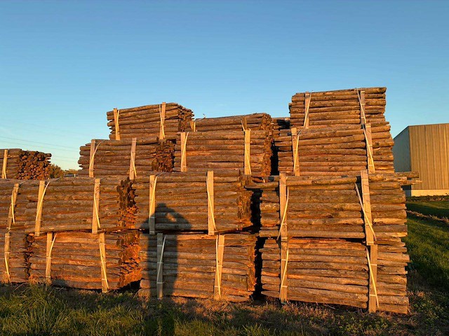 Kastanje houten tuinomheining palen (100x) - afbeelding 3 van  6