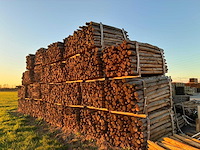 Kastanje houten tuinomheining palen (100x) - afbeelding 1 van  3