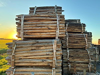 Kastanje houten tuinomheining palen (100x) - afbeelding 2 van  3