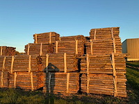 Kastanje houten tuinomheining palen (100x) - afbeelding 3 van  6