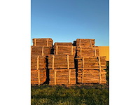 Kastanje houten tuinomheining palen (100x) - afbeelding 5 van  6