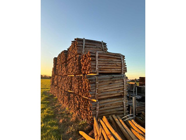 Kastanje houten tuinomheining palen (100x) - afbeelding 4 van  6