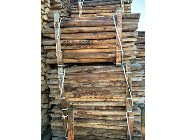 Kastanje houten tuinomheining palen (100x) - afbeelding 3 van  3