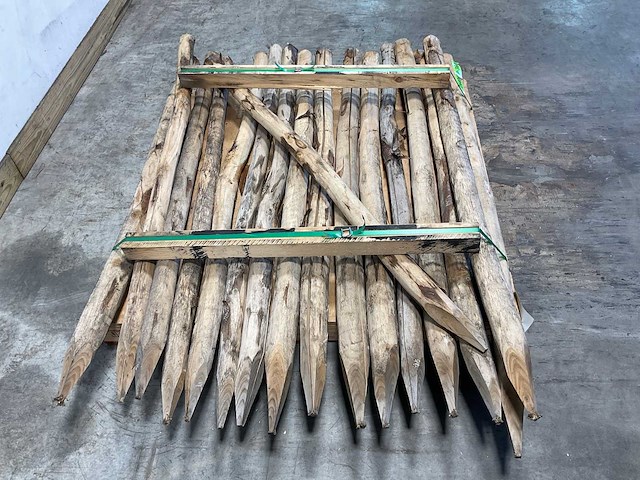 Kastanjehouten paal gepunt ø6/8 x 160 cm (65x) - afbeelding 2 van  5