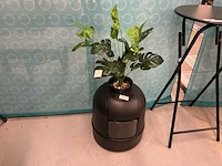 Kattenbak met kunstplant
