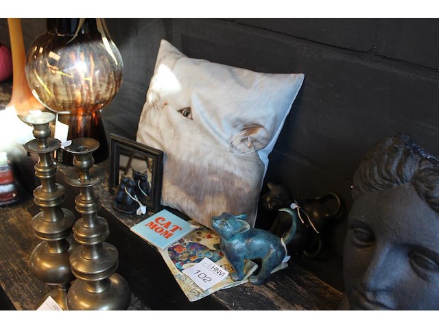 Kattenkoopje met beelden, spiegel en kussen. - afbeelding 1 van  2