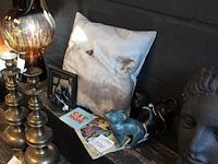 Kattenkoopje met beelden, spiegel en kussen. - afbeelding 1 van  2