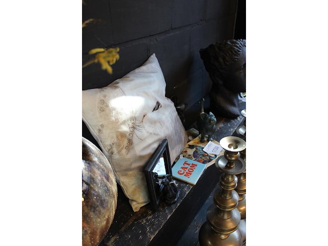 Kattenkoopje met beelden, spiegel en kussen. - afbeelding 2 van  2