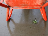 Kelfort kruiwagen - afbeelding 4 van  5