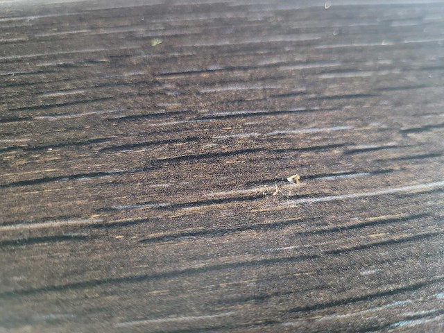 Keller - keuken met aeg/pelgrim apparatuur - afbeelding 11 van  18